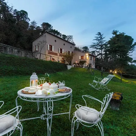 Viola Residenze Seicento *